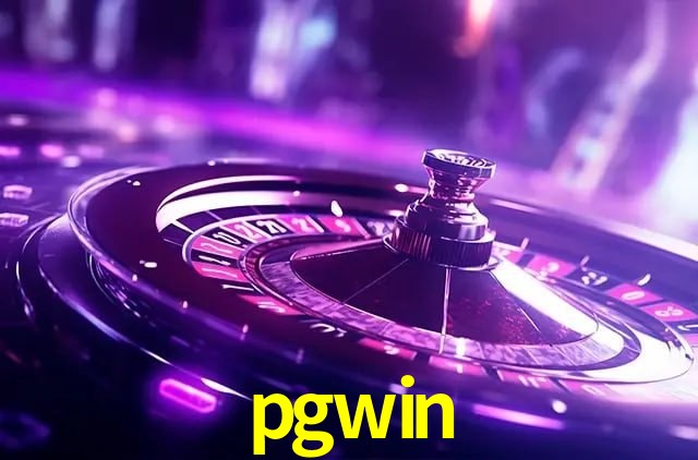 Interface Premium pgwin